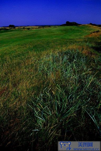 [NS Eyes写真套图]2004.01.09 SF-No.247 The Open Championship(全英オープン)-GOLF!