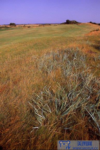 [NS Eyes写真套图]2005.07.08 SF-No.325 THE OPEN 2005 St.Andrews-GOLF!