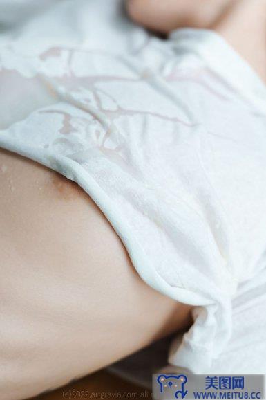 [ARTGRAVIA] NO.408 Romi