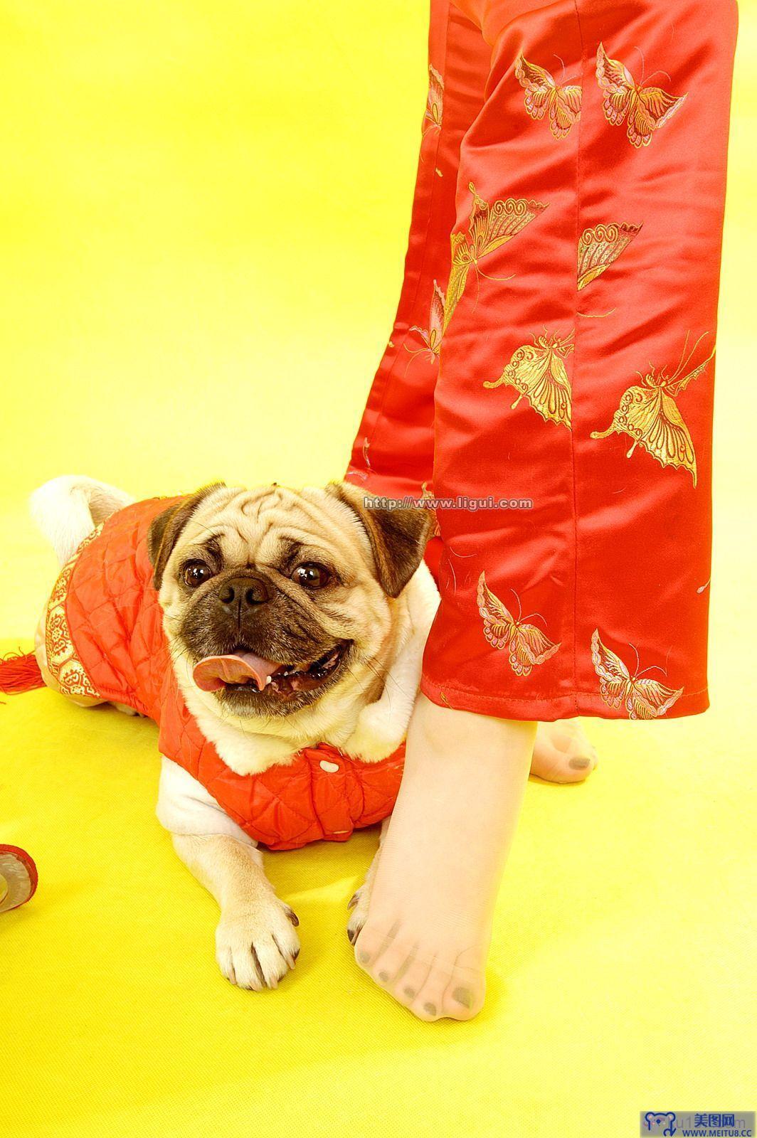 [Ligui丽柜美腿]2006.01.29