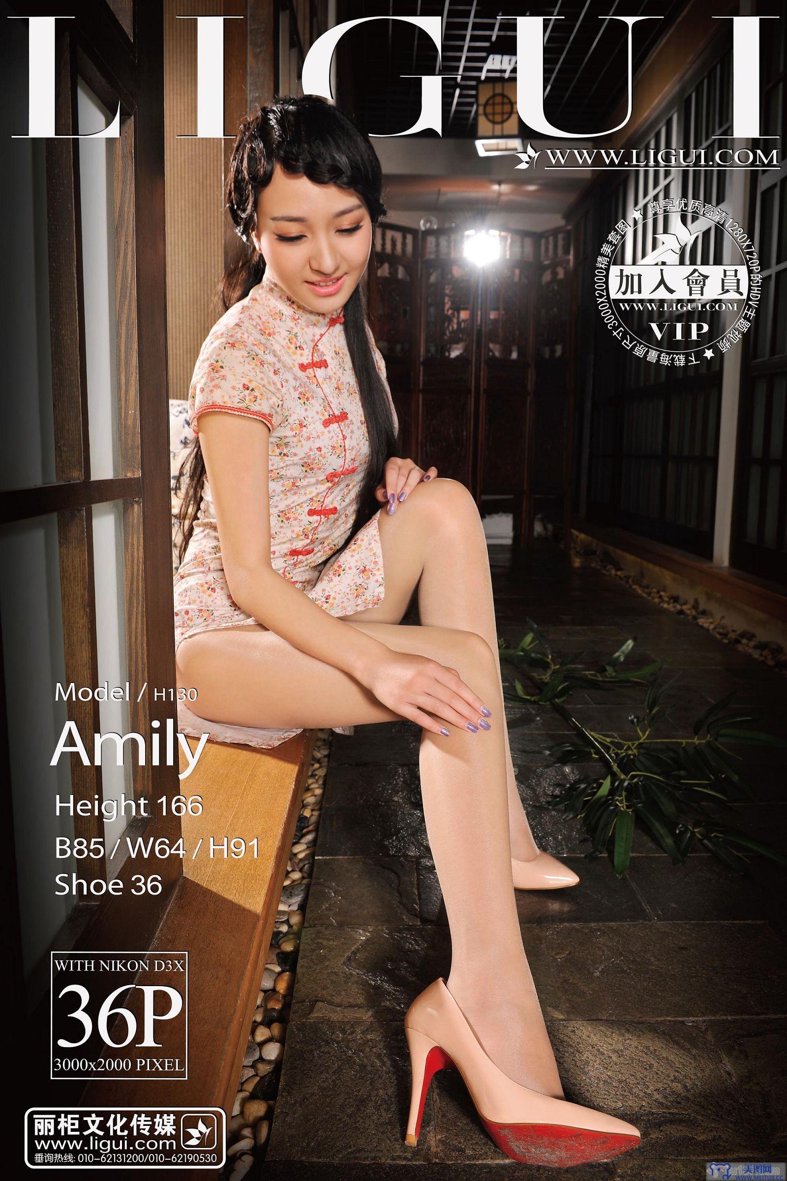 [Ligui丽柜美腿]2013.11.05 Model Amily