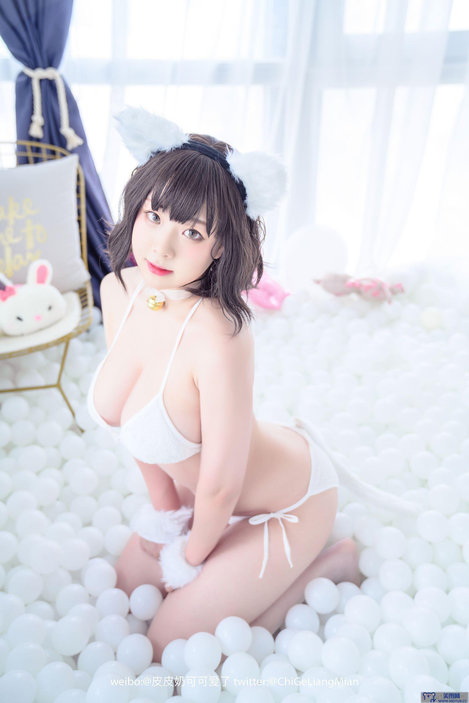 [皮皮奶可可爱了啦] NO.014 白猫