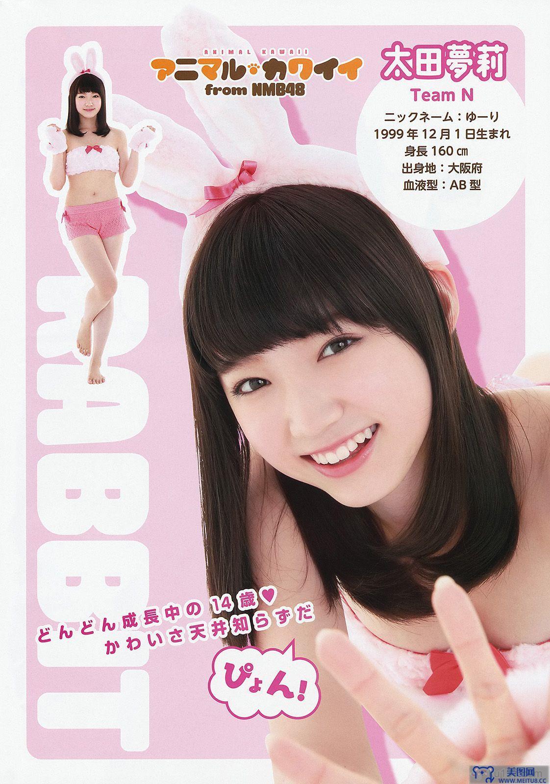 [Young Animal] 2014 No.17 NMB48