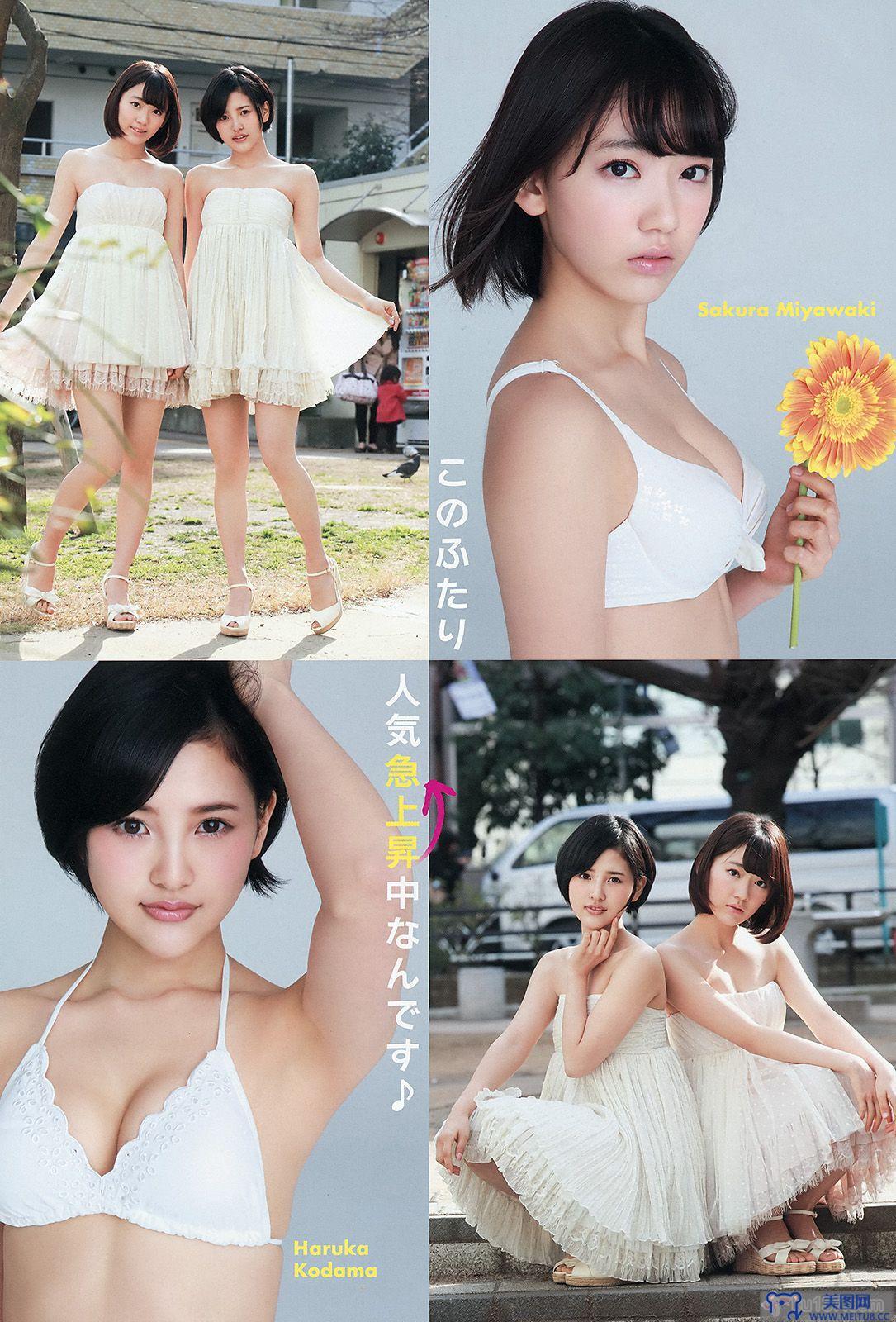 [Young Animal] 2015.05 No.10 宮脇咲良 兒玉遙 朝長美桜 松岡菜摘 穴井千尋