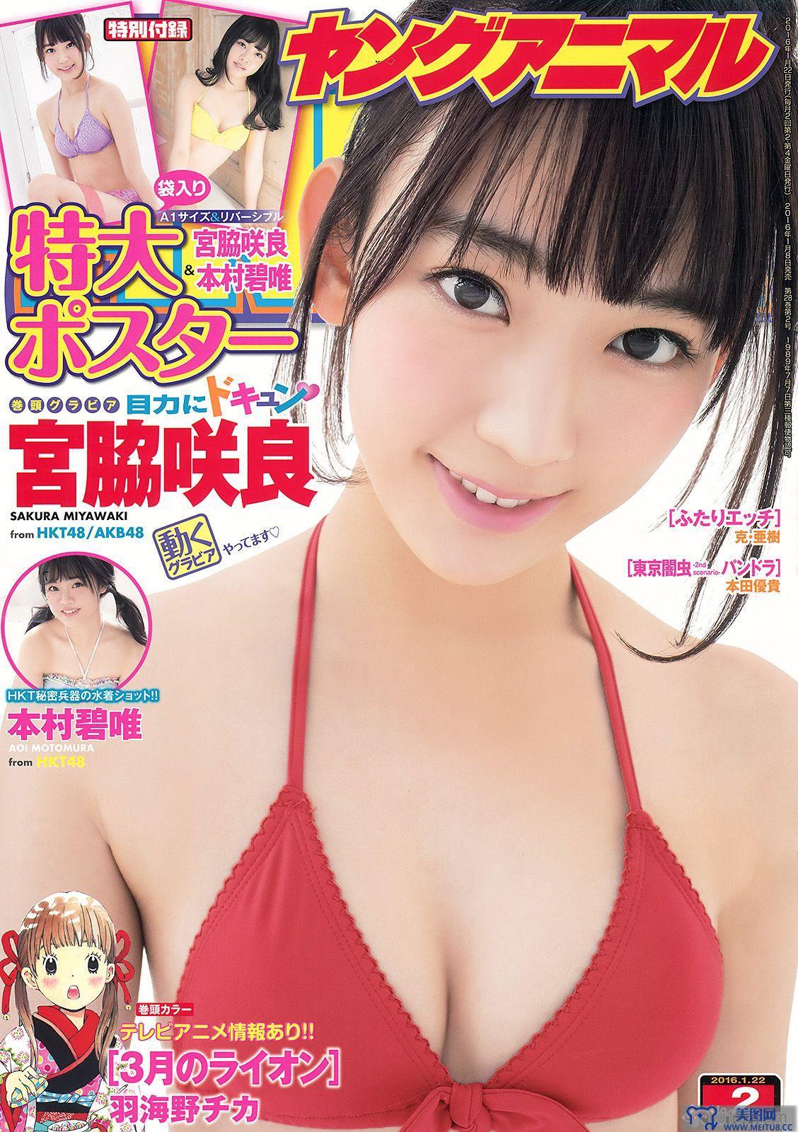 [Young Animal] 2016.01 No.02 宮脇咲良 本村碧唯