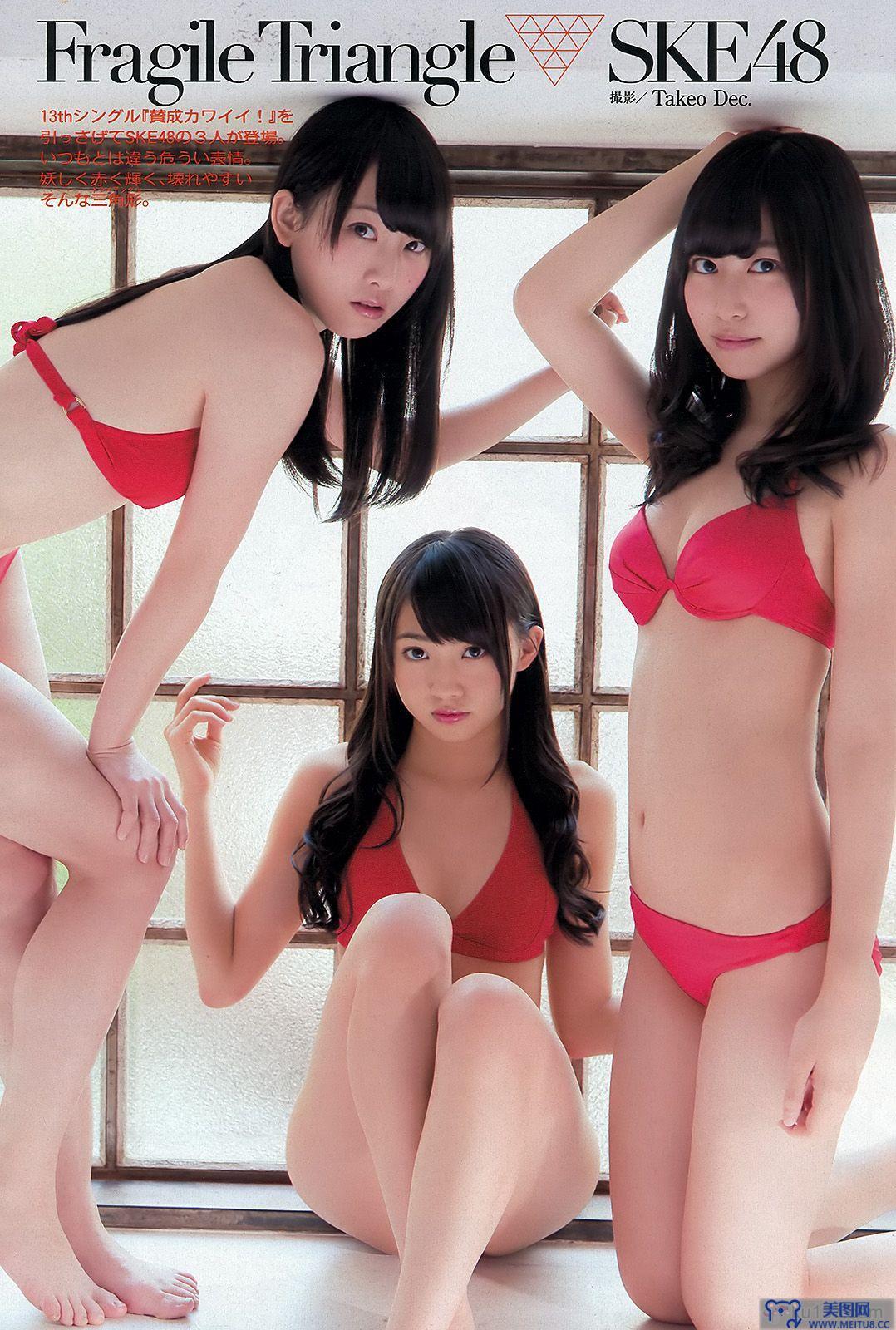 [Weekly Playboy] 2013 No.48 SKE48 佐藤渚 佐野ひなこ 久松郁美 AKB48 杉原杏璃 鼘mニイナ 百川晴香 松坂南 葵つかさ