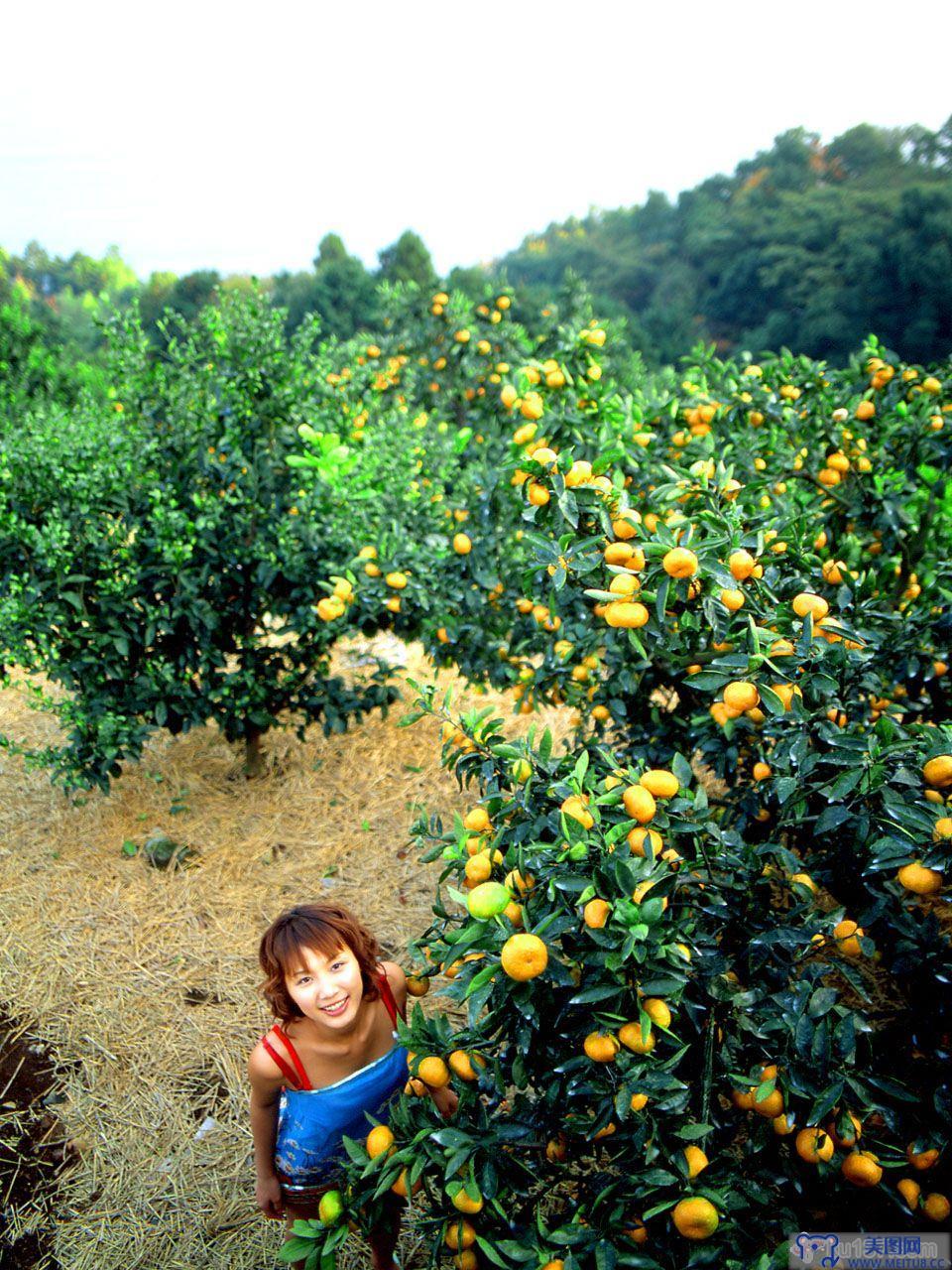 [NS Eyes写真套图]2001.05.11 SF-No.110 Asumi Kato(加藤明日美)