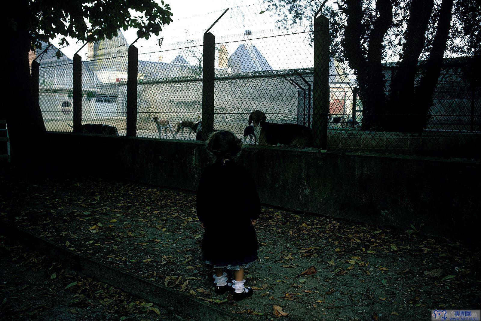 [NS Eyes写真套图]2002.12.20 SF-No.194 Alexandra Garijo – CHILD PHOTOGRAPHY!