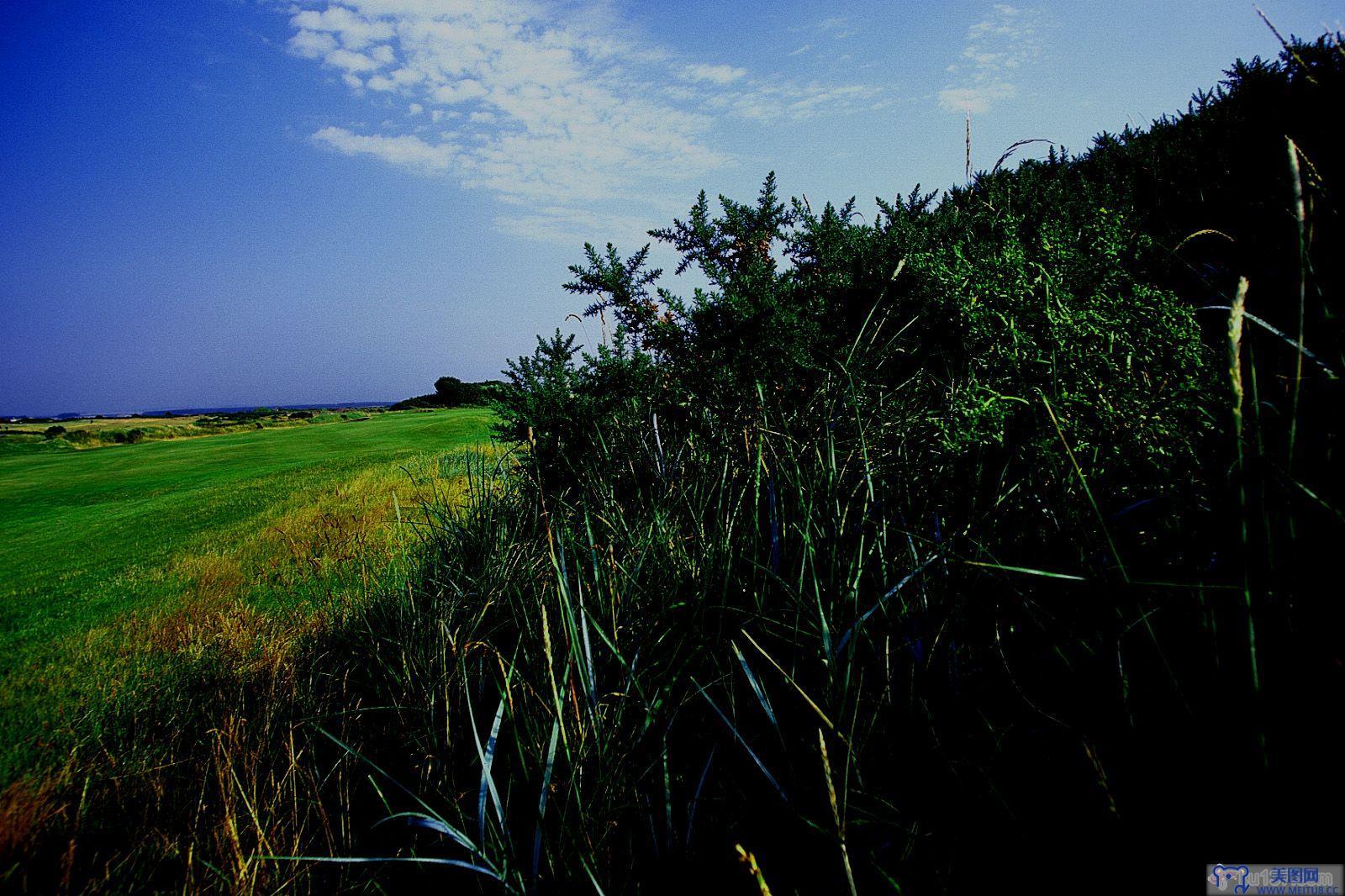 [NS Eyes写真套图]2004.01.09 SF-No.247 The Open Championship(全英オープン)-GOLF!