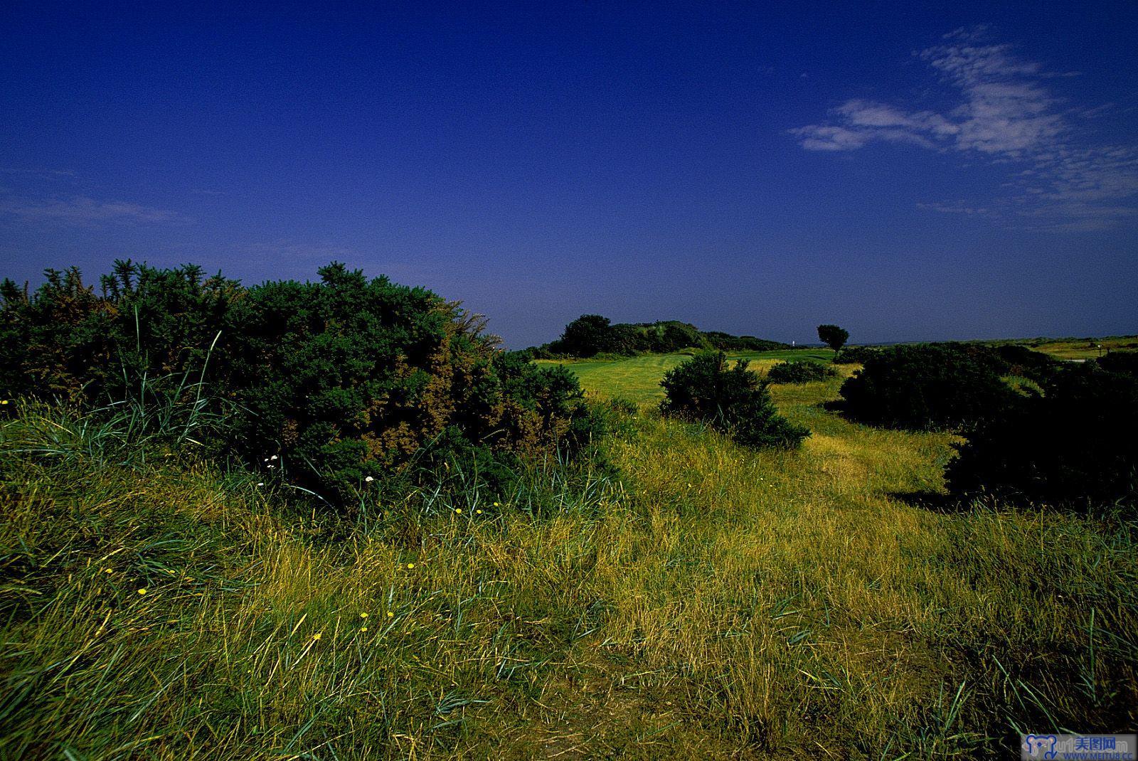 [NS Eyes写真套图]2004.01.09 SF-No.247 The Open Championship(全英オープン)-GOLF!