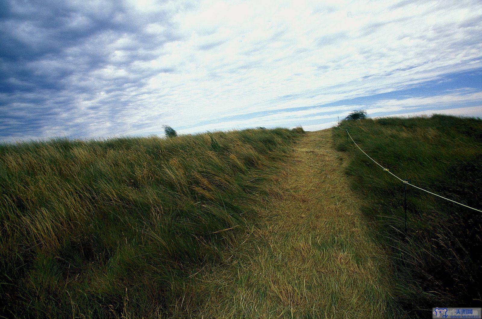 [NS Eyes写真套图]2004.01.09 SF-No.247 The Open Championship(全英オープン)-GOLF!