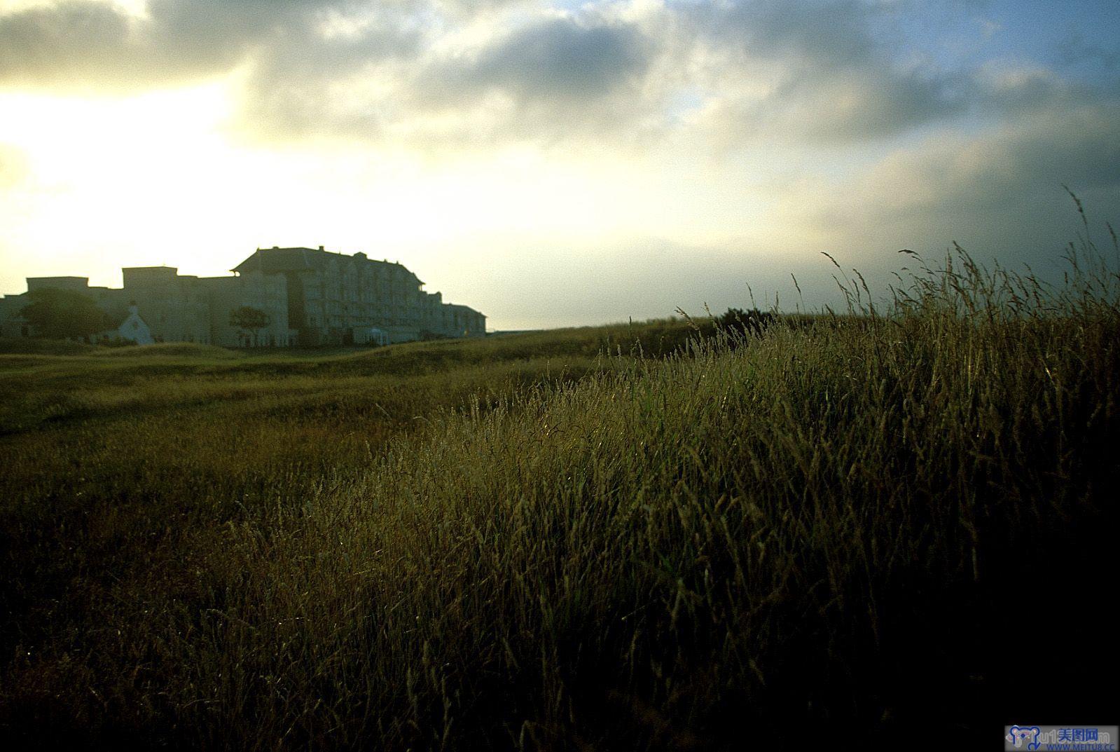 [NS Eyes写真套图]2004.01.16 SF-No.248 The Open Championship(全英オープン)-GOLF!