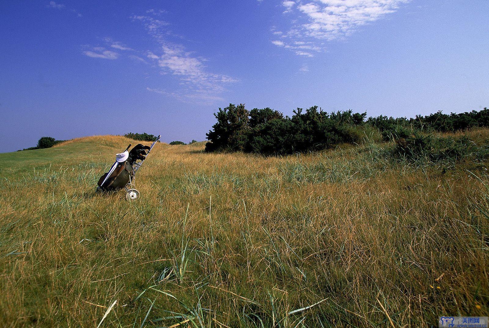 [NS Eyes写真套图]2005.07.08 SF-No.325 THE OPEN 2005 St.Andrews-GOLF!