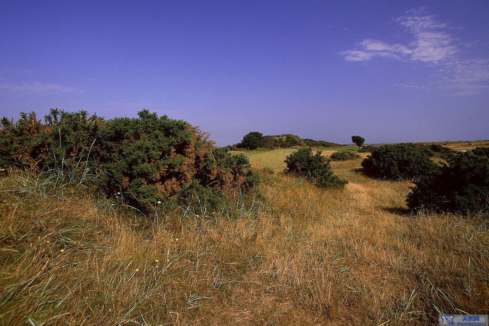 [NS Eyes写真套图]2005.07.08 SF-No.325 THE OPEN 2005 St.Andrews-GOLF!