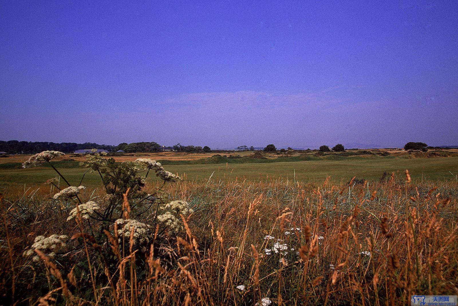 [NS Eyes写真套图]2005.07.08 SF-No.325 THE OPEN 2005 St.Andrews-GOLF!