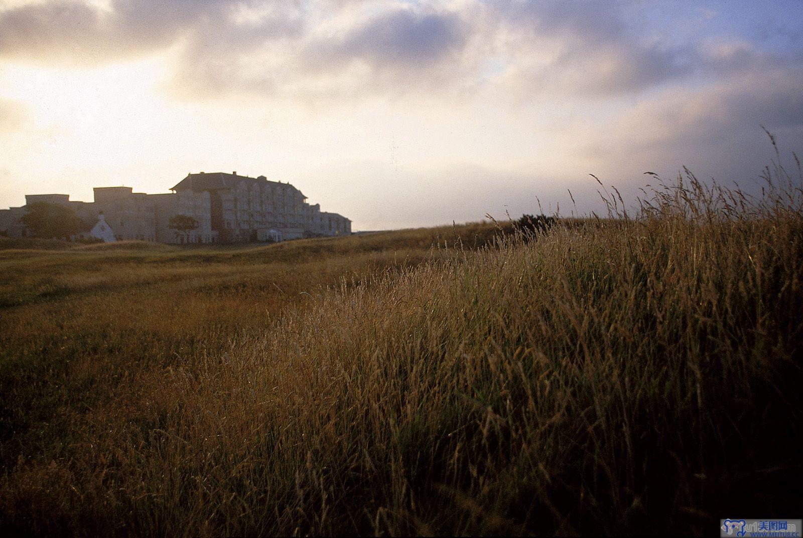 [NS Eyes写真套图]2005.07.08 SF-No.325 THE OPEN 2005 St.Andrews-GOLF!