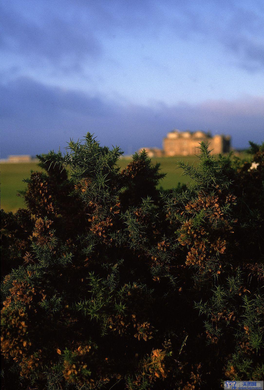 [NS Eyes写真套图]2005.07.08 SF-No.325 THE OPEN 2005 St.Andrews-GOLF!