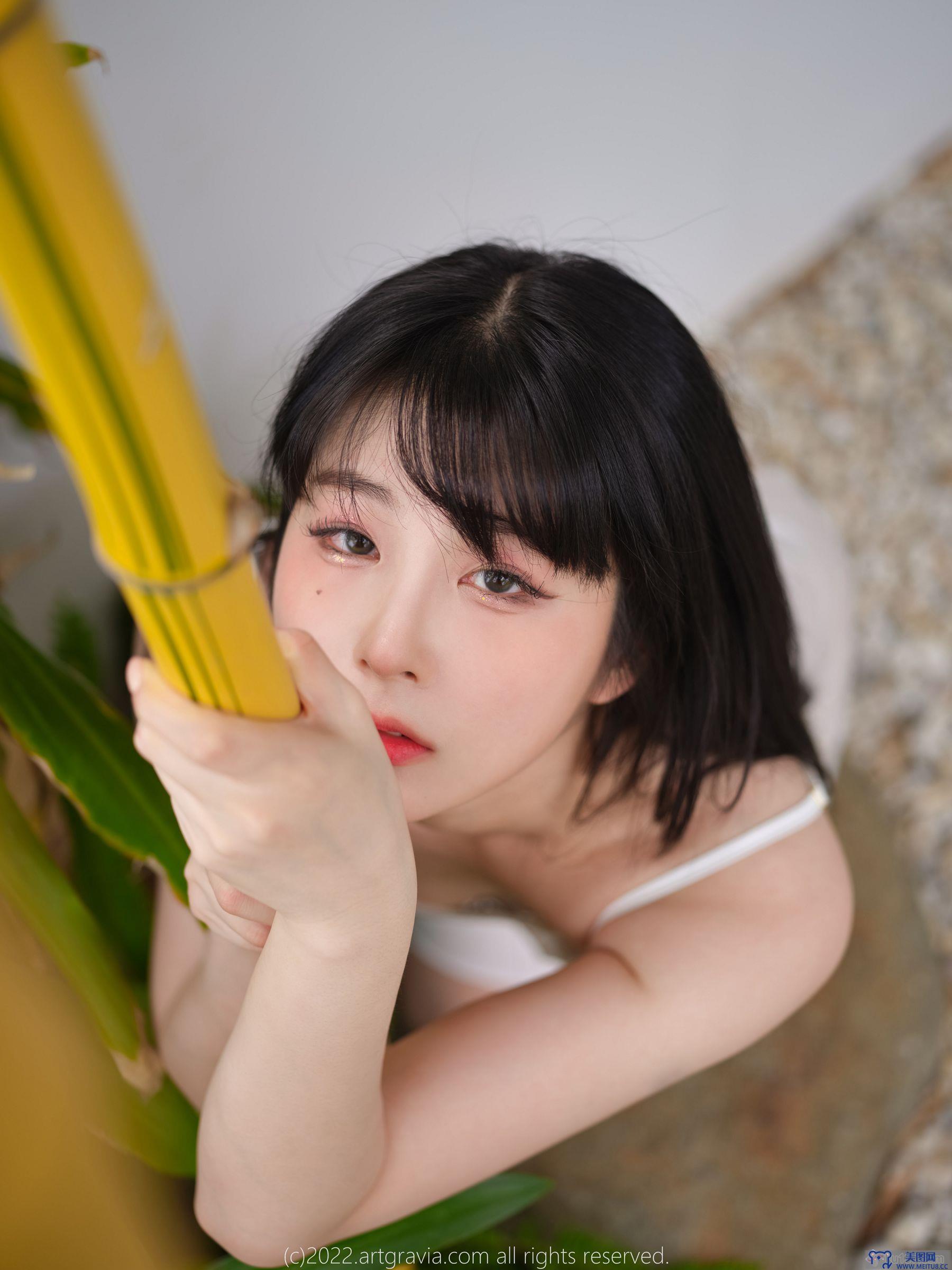 [ARTGRAVIA] NO.454 Jang Joo