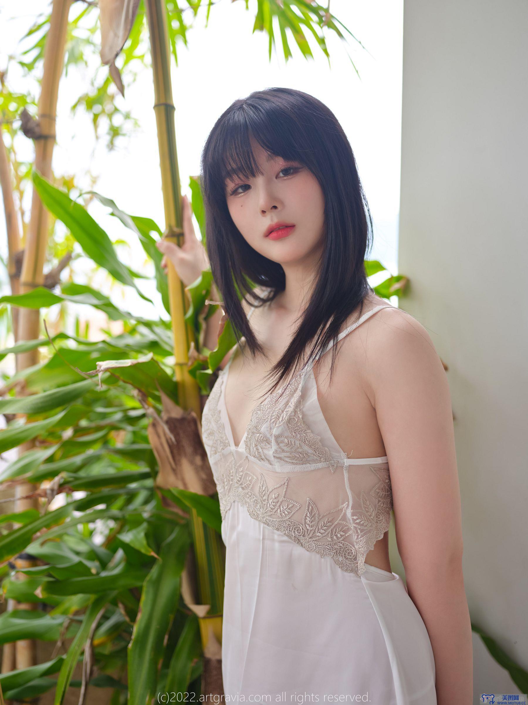 [ARTGRAVIA] NO.454 Jang Joo