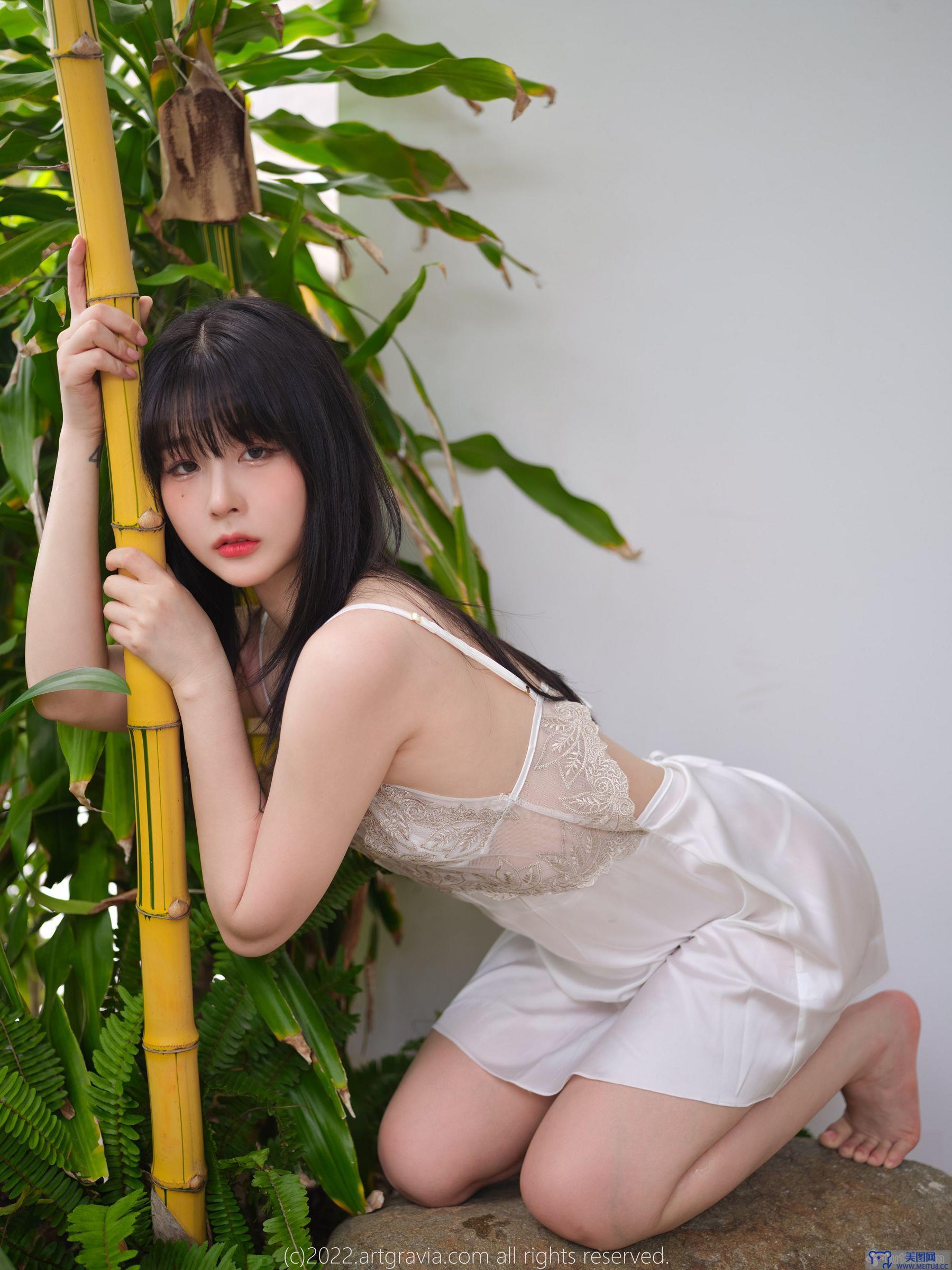 [ARTGRAVIA] NO.454 Jang Joo