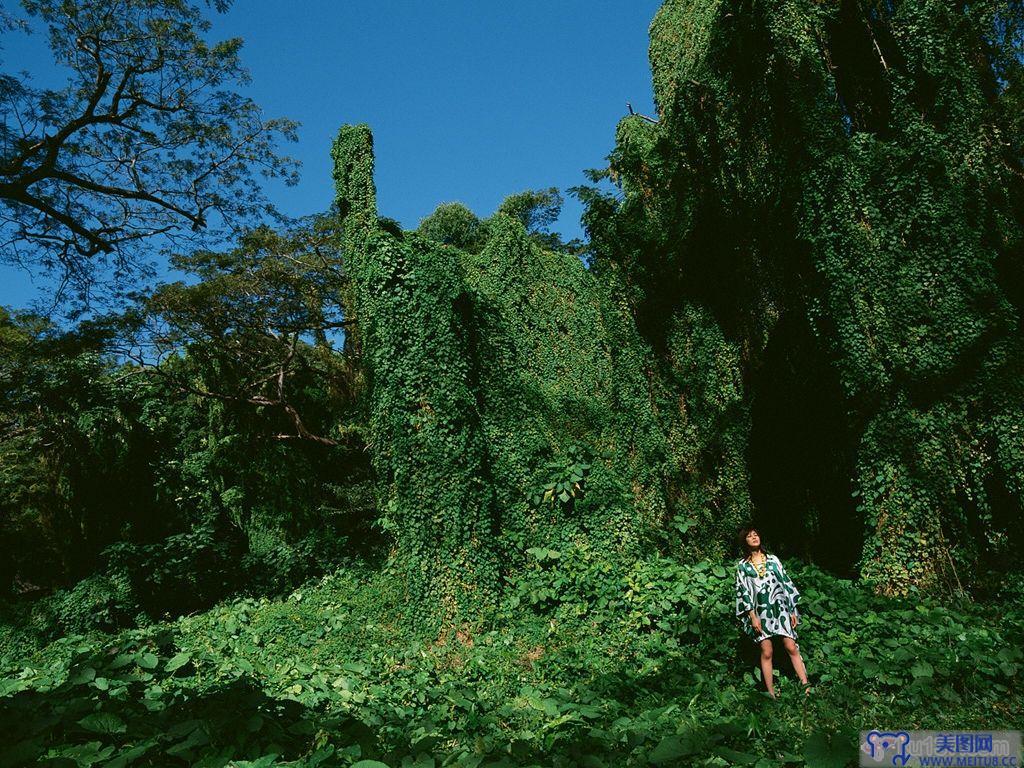 [Wanibooks WBGC美女] 2004.12 No.06 Miho Shiraishi 白石美帆
