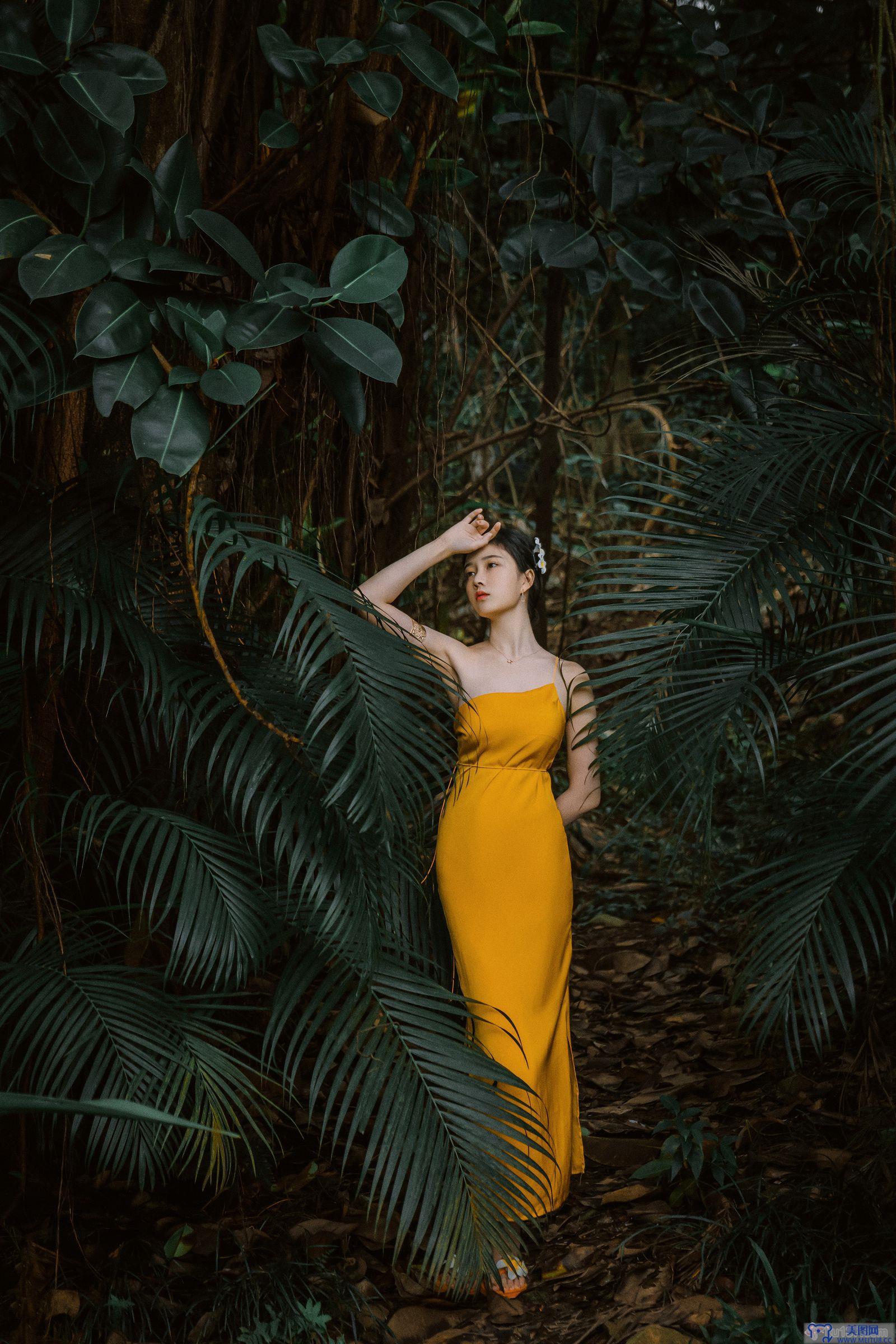 [年年nnian] NO.132 蒹葭